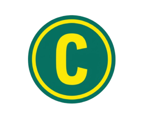 Gemini_Generated_Image_wihz82wihz82wihz-removebg-preview